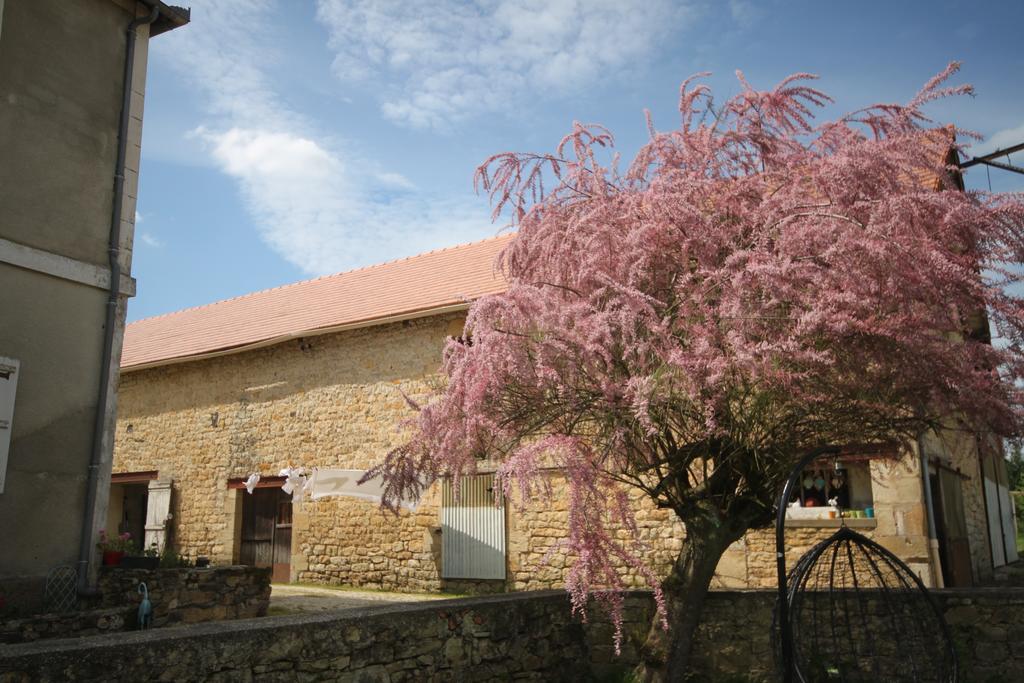 La Maison Du Bonheur Anlhiac Dış mekan fotoğraf