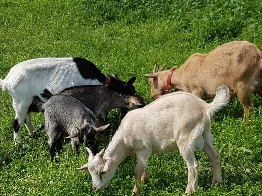 La Maison Du Bonheur Anlhiac Dış mekan fotoğraf
